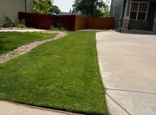 Mike R.'s turf maintenance service result