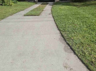 Florence B.'s grass maintenance service result