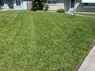 Jennifer L.'s lawn care services service result