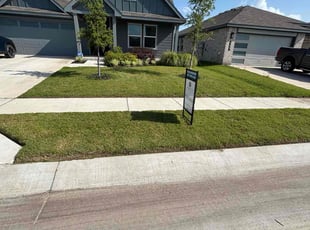 Dennis V.'s turf care service result