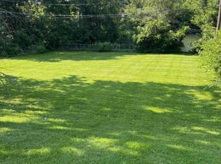 Marshall E.'s lawn maintenance service result