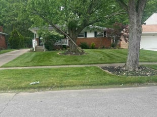 Angelica L.'s lawn care service result