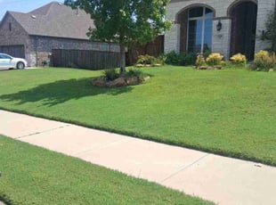 Michael B.'s lawn care service result