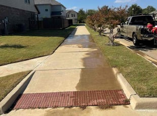 Lauren T.'s lawn care service result