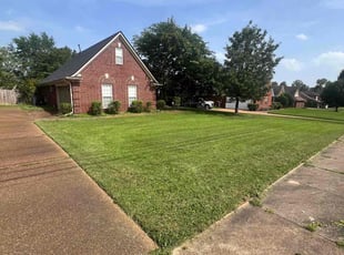 Billy P.'s turf care service result