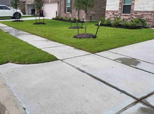 Carol C.'s lawn care services service result