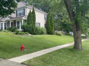Nancy R.'s lawn care service result