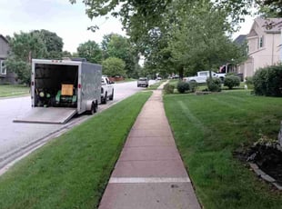 Alison G.'s grass cutting service result