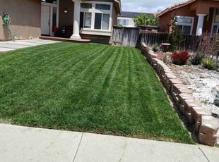 Leslie P.'s landscaping services service result