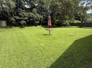 Fabio B.'s grass maintenance service result