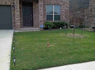 Lakiva, N.'s lawn maintenance service result