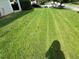 Kimberly M.'s lawn care services service result