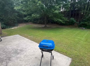Mitsybella M.'s lawn maintenance service result