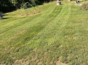 Rahni J.'s lawn service service result