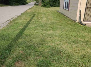 Ronald E.'s lawn care service result
