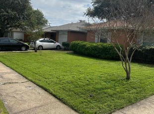 Connie W.'s turf maintenance service result