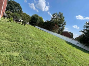 Talishia C.'s lawn maintenance service result