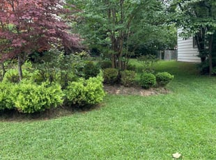 Yolande M.'s lawn service service result