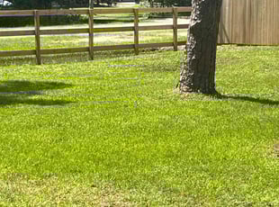 Larry H.'s lawn care service result