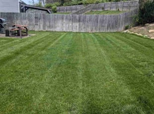 Steve S.'s turf maintenance service result