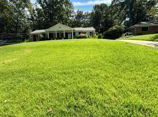 Krysten A.'s lawn maintenance service result