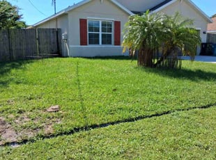 Ali W.'s lawn care service result