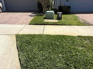 Kayann G.'s lawn care service result