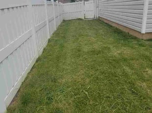 Donald P.'s turf maintenance service result