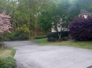 David E.'s turf care service result