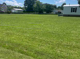 Jan A.'s grass maintenance service result
