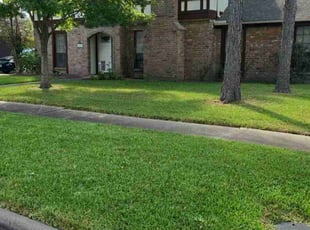 Irvin D.'s grass maintenance service result