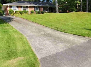 Leslie B.'s turf maintenance service result