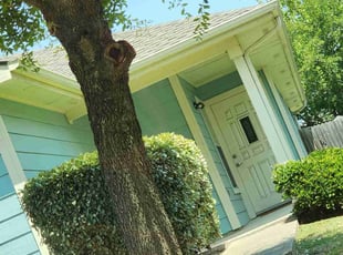 Jonathan H.'s Bush Trimming service result