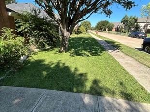 Vanessa P.'s lawn service service result
