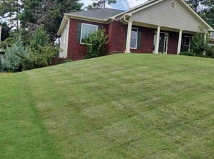 Marsha W.'s lawn care services service result