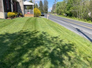 Anthony S.'s lawn maintenance service result