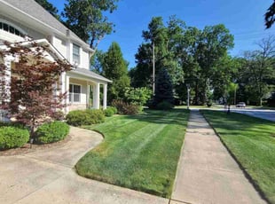 Noemi B.'s grass cutting service result