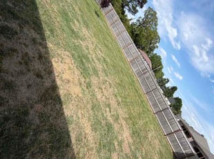 Charles V.'s grass cutting service result