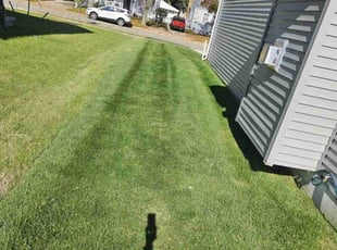 Pierre P.'s lawn maintenance service result