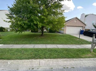 Beverly P.'s turf maintenance service result