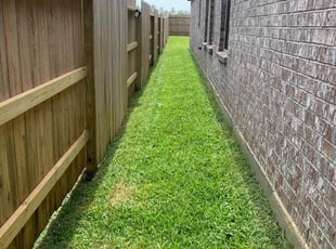 Ramona K.'s lawn care services service result