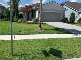 Jaime T.'s lawn care services service result