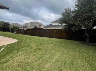 Pierre H.'s turf care service result