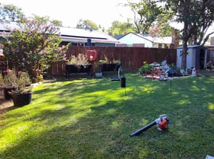 Shauntee W.'s lawn care services service result