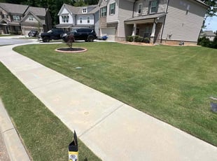 Katherine S.'s turf care service result