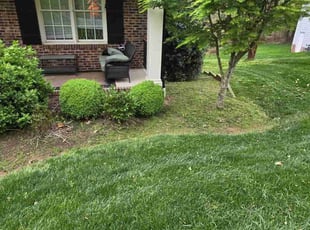 norvell C.'s lawn care service result