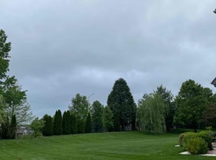 Jason M.'s lawn care services service result