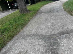 Richard J.'s lawn care services service result