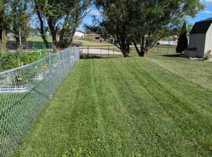 Nazdar Y.'s grass maintenance service result