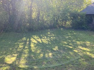 Peter B.'s turf maintenance service result